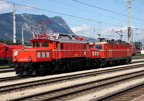 locomotive crocodile