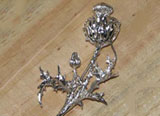 Broche chardon de Lorraine