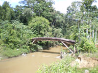 pont Guyane