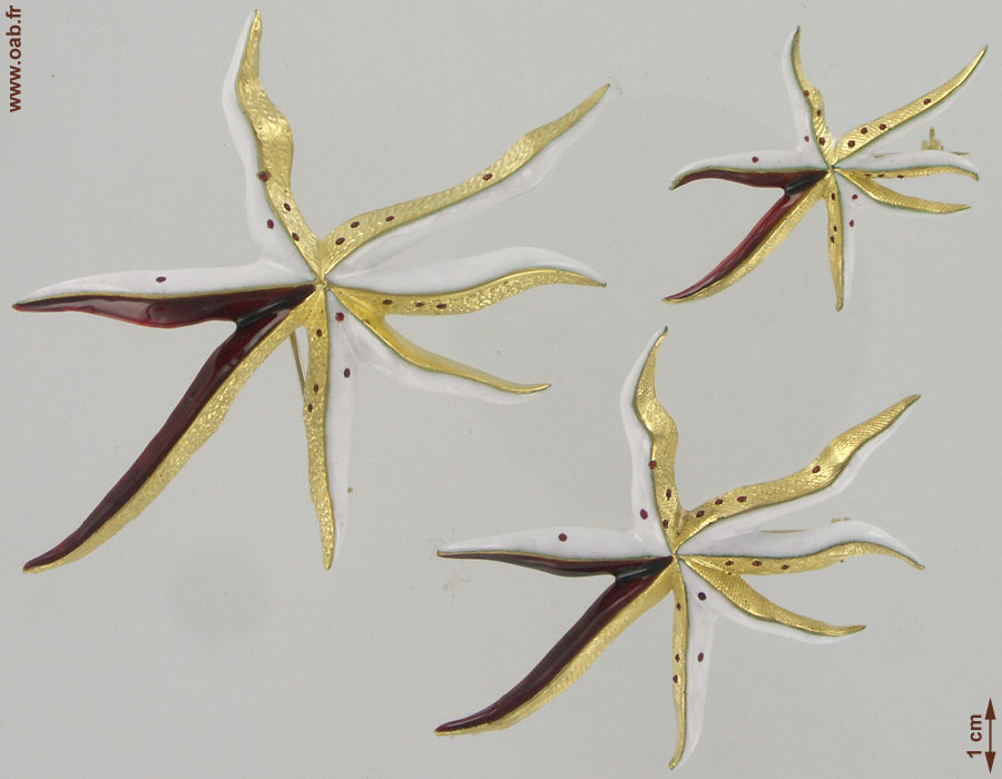 Broches Leucothée