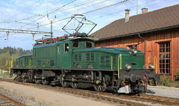 locomotive crocodile