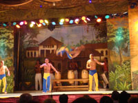 capoeira