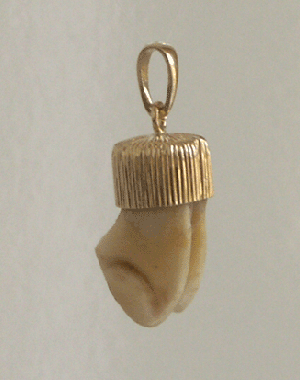 pendentif dents de cerf