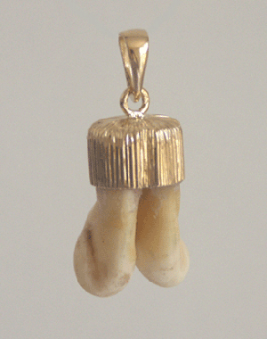 pendentif dents de cerf