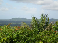 Montagnes aux Singes