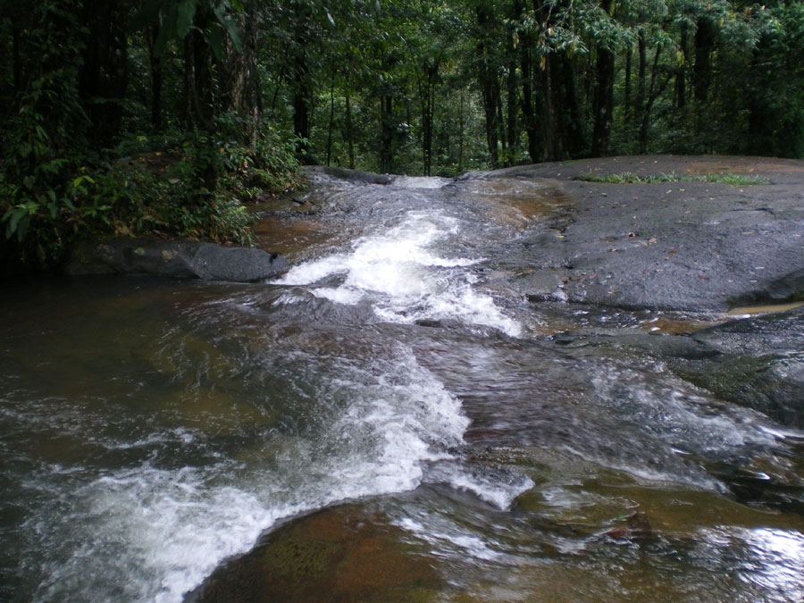 torrent Guyane