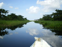 marais Kaw