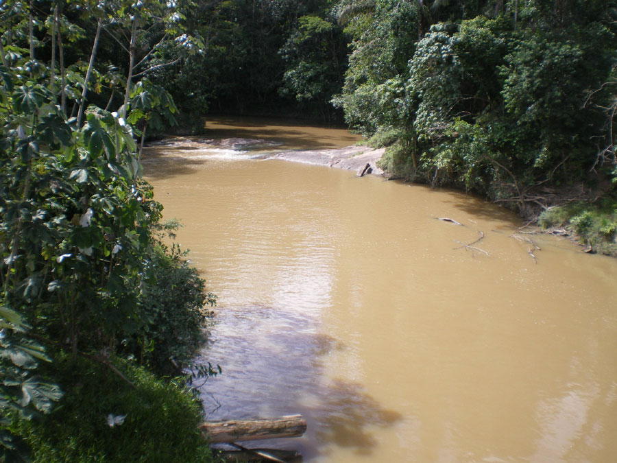 crique Serpent