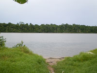 fleuve Maroni
